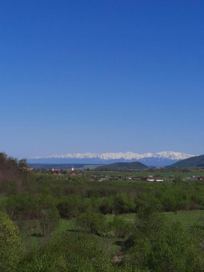 Pensiune Marginimea Sibiului Orlat Exteriör bild