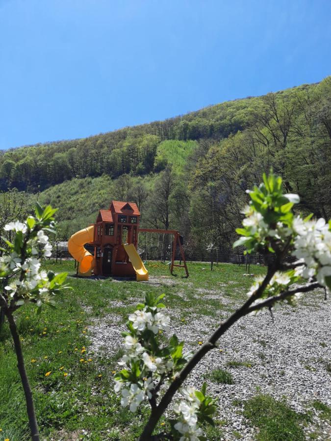 Pensiune Marginimea Sibiului Orlat Exteriör bild