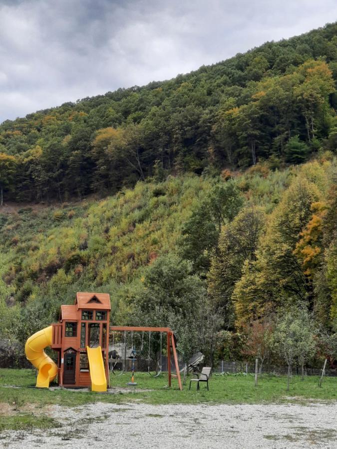 Pensiune Marginimea Sibiului Orlat Exteriör bild