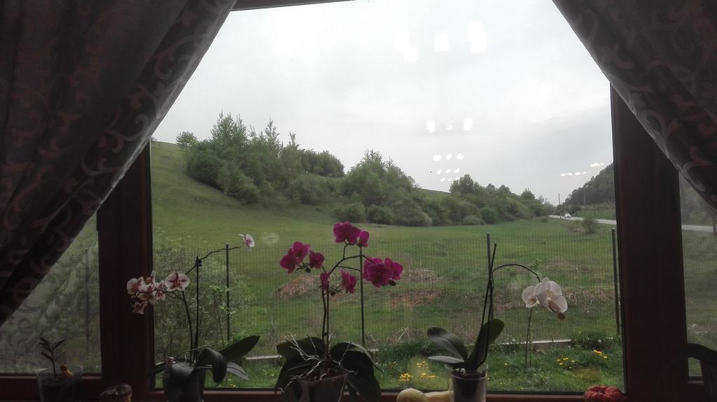 Pensiune Marginimea Sibiului Orlat Exteriör bild