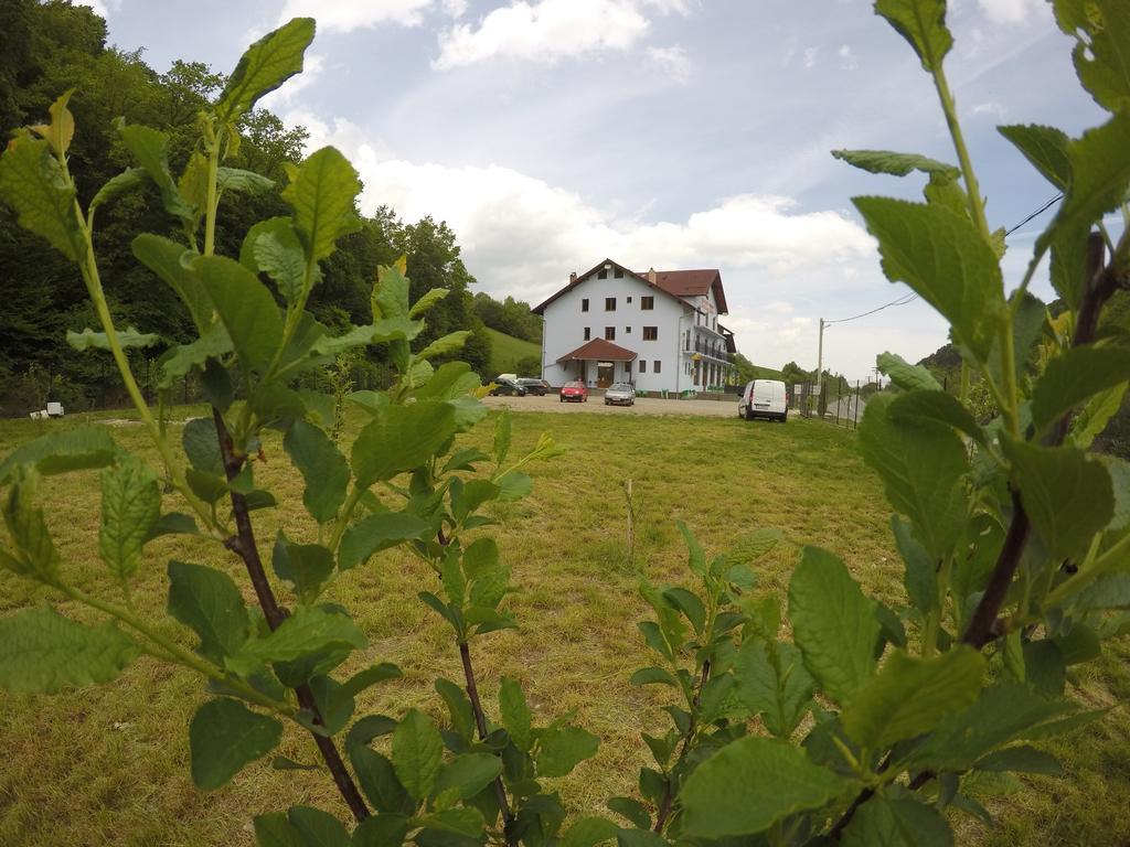 Pensiune Marginimea Sibiului Orlat Exteriör bild