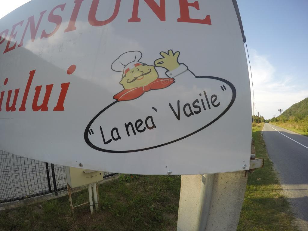 Pensiune Marginimea Sibiului Orlat Exteriör bild